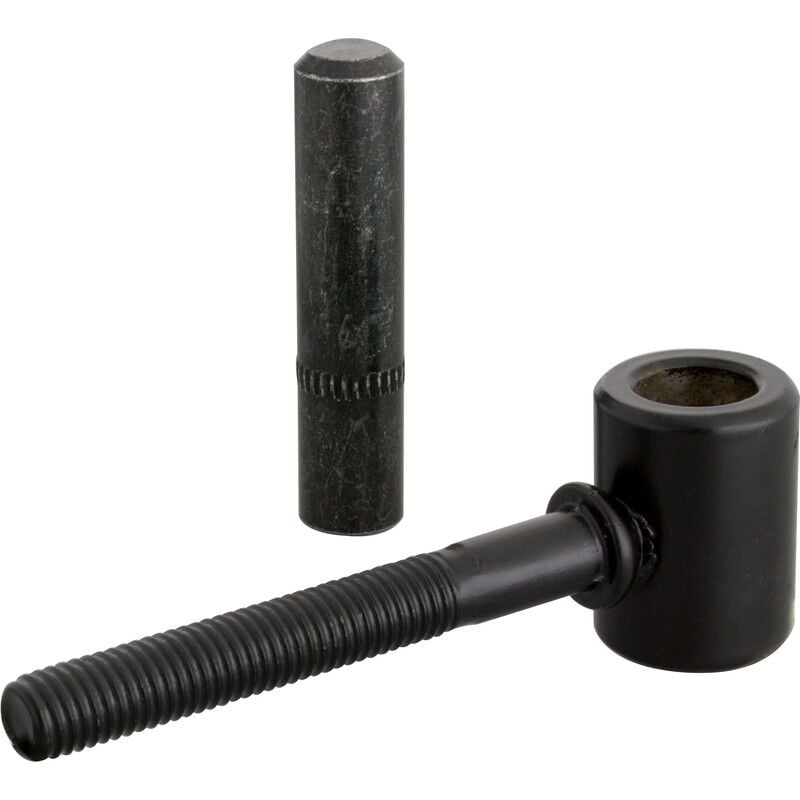 Alberts - gond à scellement chimique noir Ø16 x 125MM gah 307424