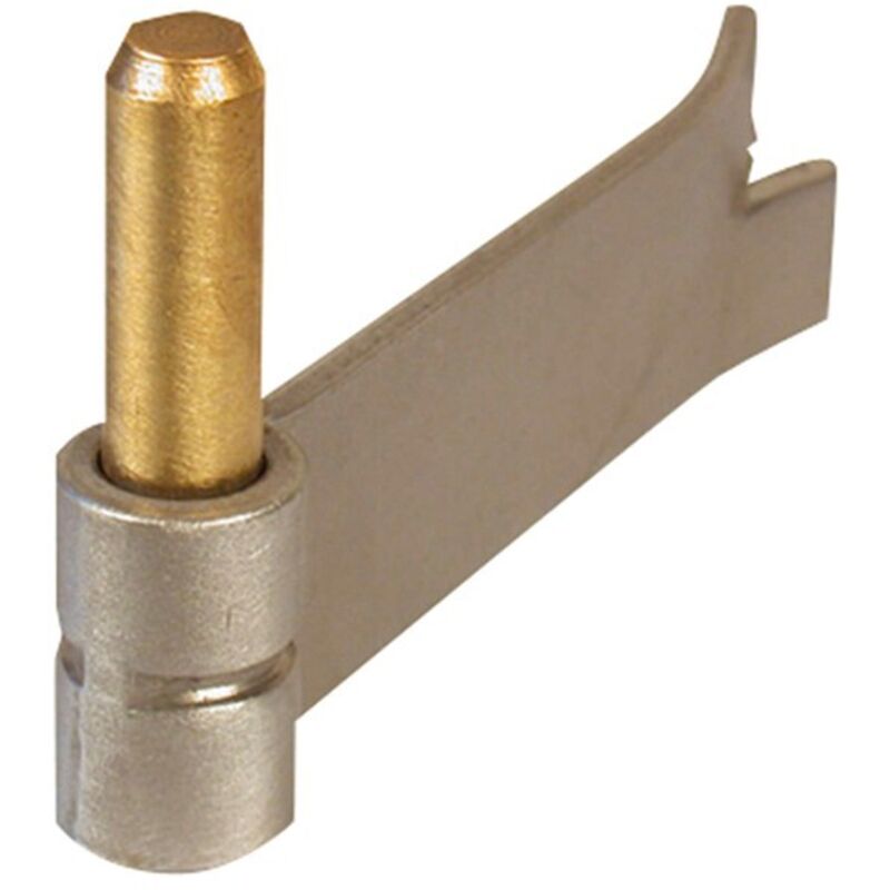 Afbat - Gond à sceller simple inox et axe laiton