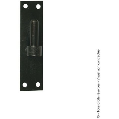 Gond sur platine bout droit  Diamètre x Hauteur (mm) : 14x120 - Noir