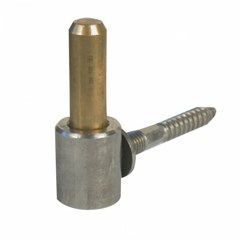 Afbat - Gond à visser inox et axe laiton
