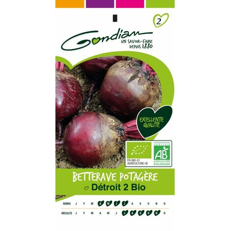 Gondian - betterave potagere bio