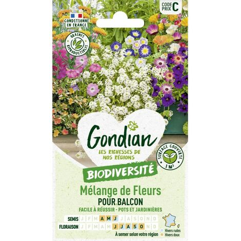 Gondian - melange de fleur pour balcon