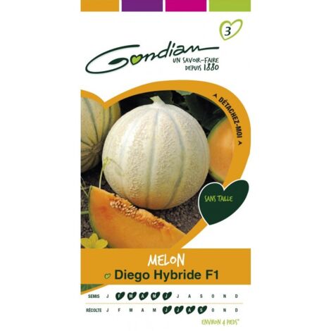Gondian - Melon Diego Hybride F1