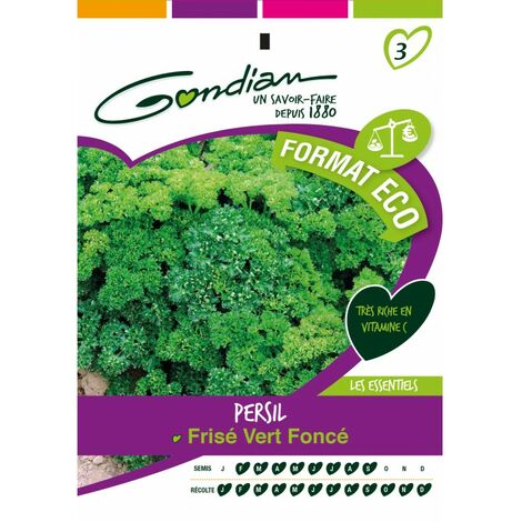 Gondian - Persil Frisé vert foncé