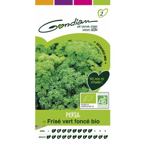 Gondian - persil frisé vert foncé bio
