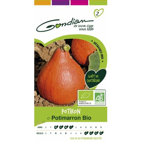 Gondian - potiron potimarron bio
