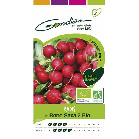 Gondian - radis rond saxa 2 bio