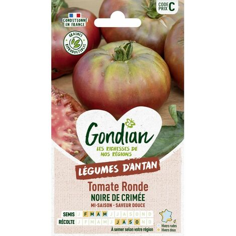 Gondian - Tomate ronde noire de crimé