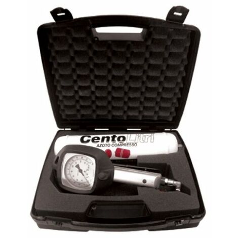 GONFIATORE PORTATILE DI AZOTO 110 LT (PUMP AIR)
