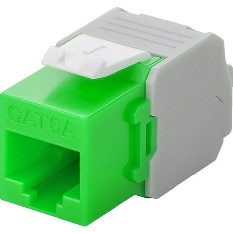 Techly connecteur RJ45 Cat6 sans outils blanc