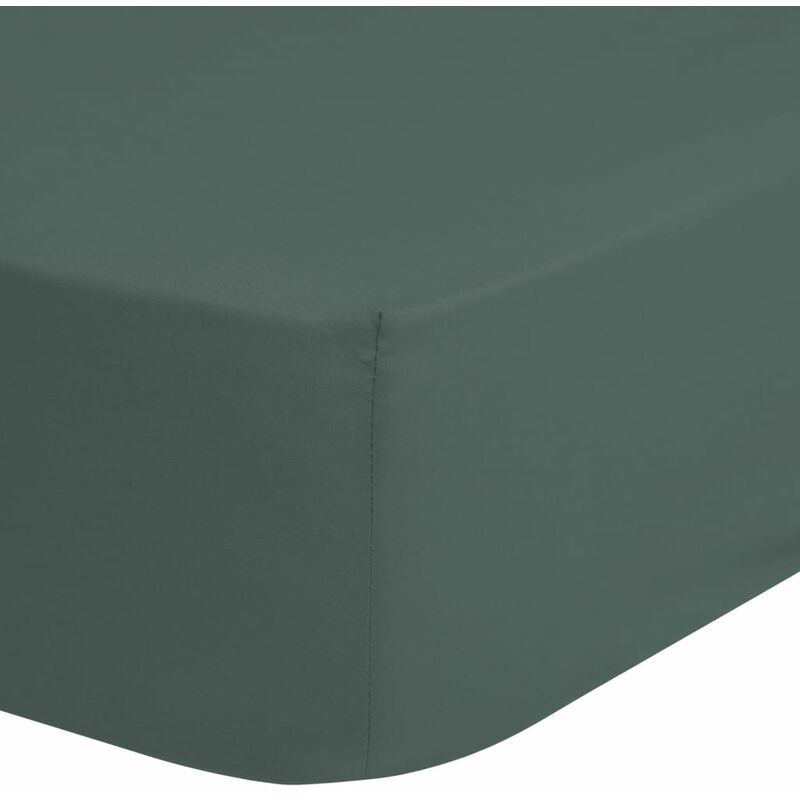 

Sábana ajustable verde oliva 100x200 cm - Verde - Good Morning