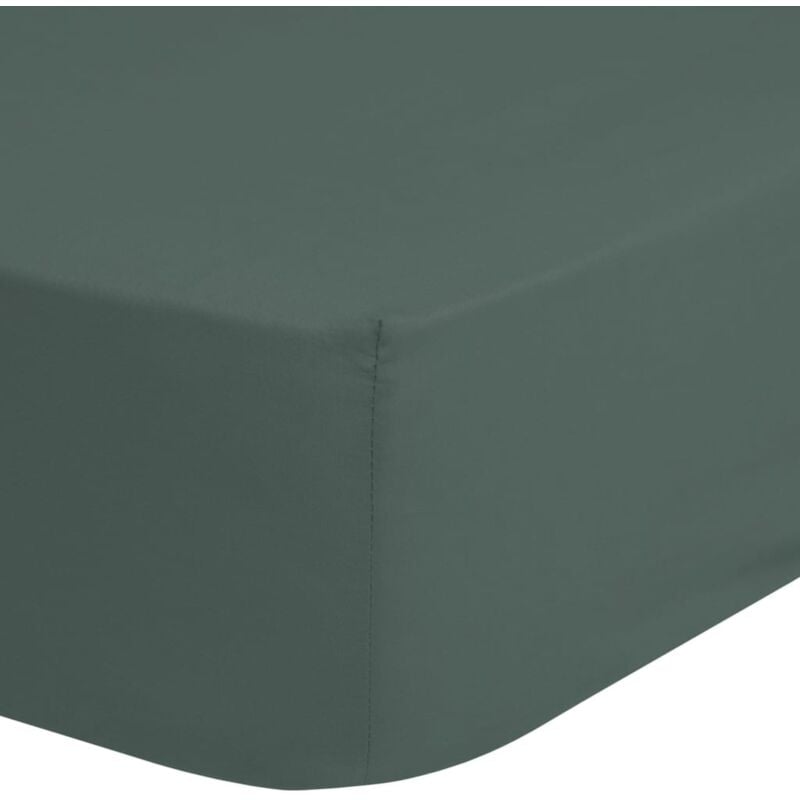 

Sábana ajustable verde oliva 180x200 cm - Verde - Good Morning
