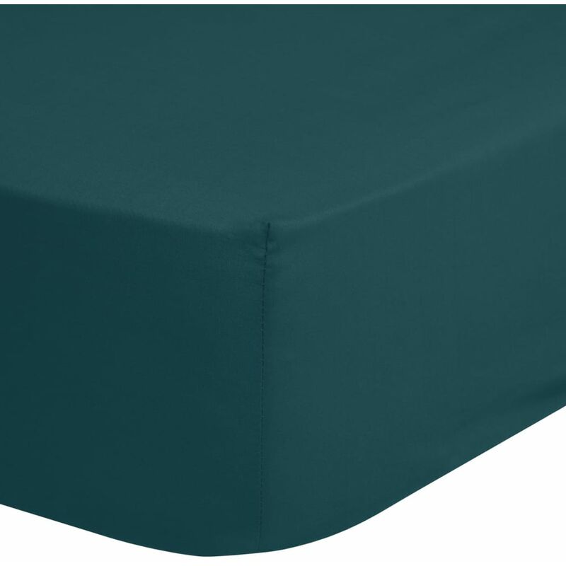 

Sábana bajera de jersey petróleo 200x220 cm - Verde - Good Morning