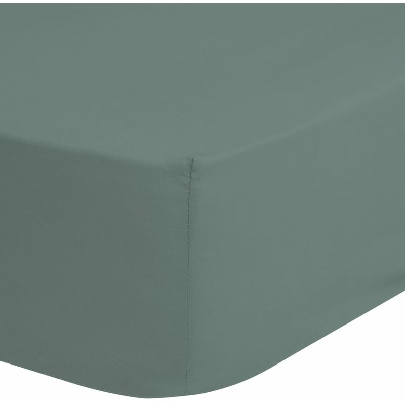 

Sábana bajera de jersey verde brumoso 200x220 cm - Verde - Good Morning