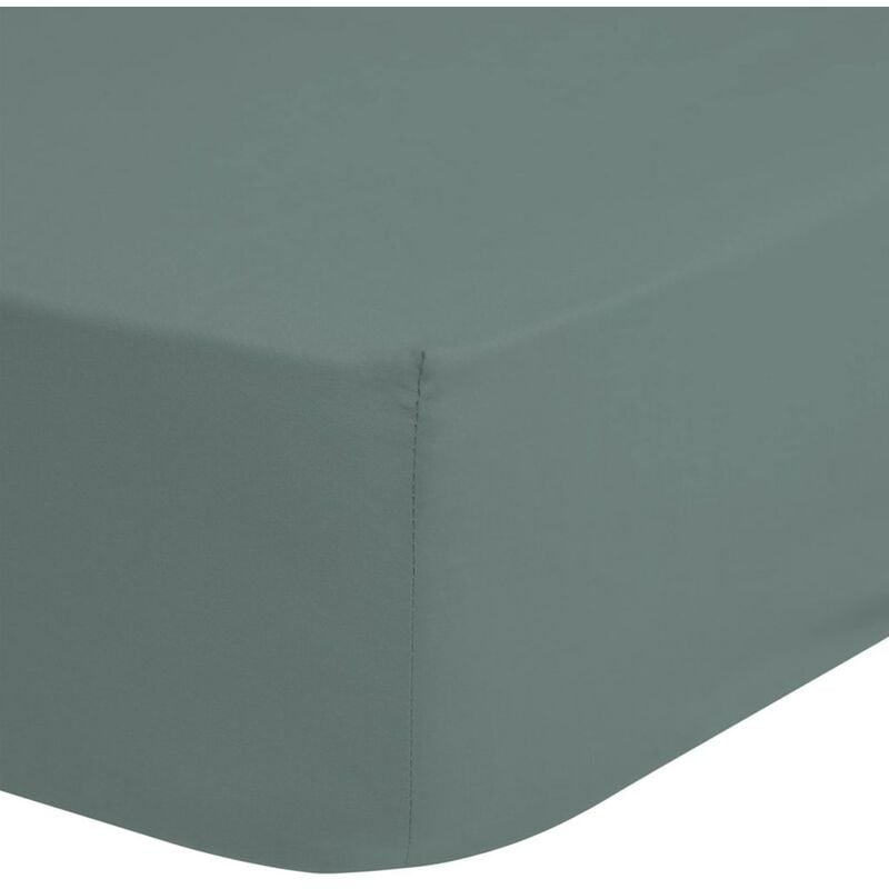 

Sábana bajera de jersey verde brumoso 60x120 cm - Verde - Good Morning