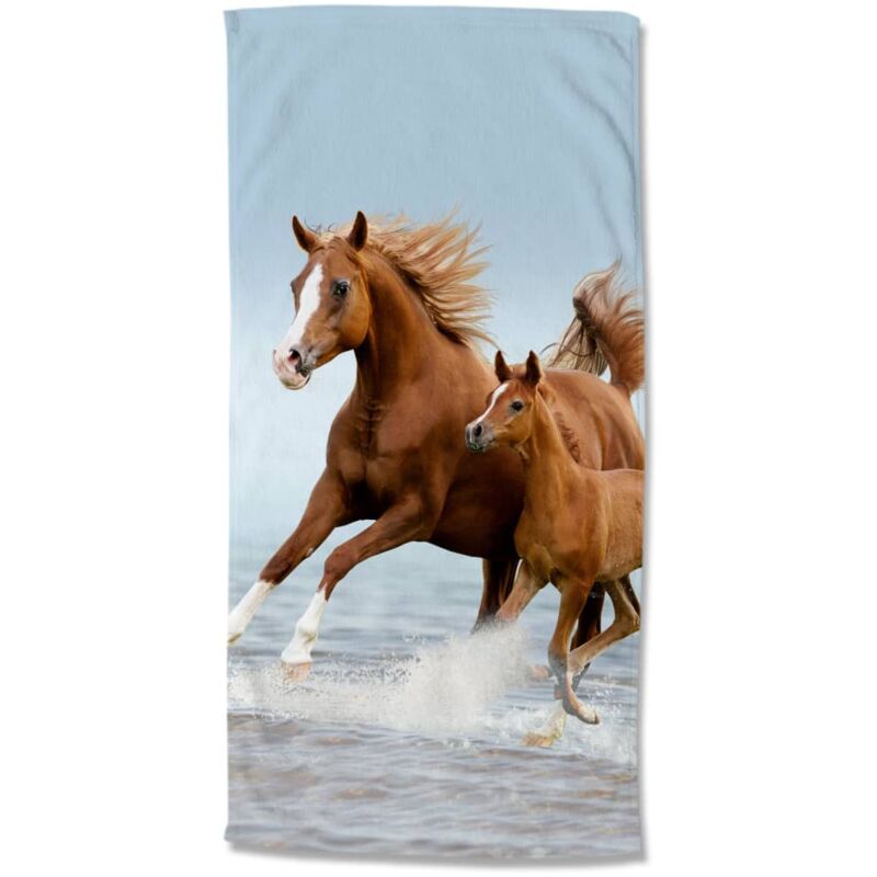 

Toalla de playa FREE marrón y azul 75x150 cm - Multicolor - Good Morning