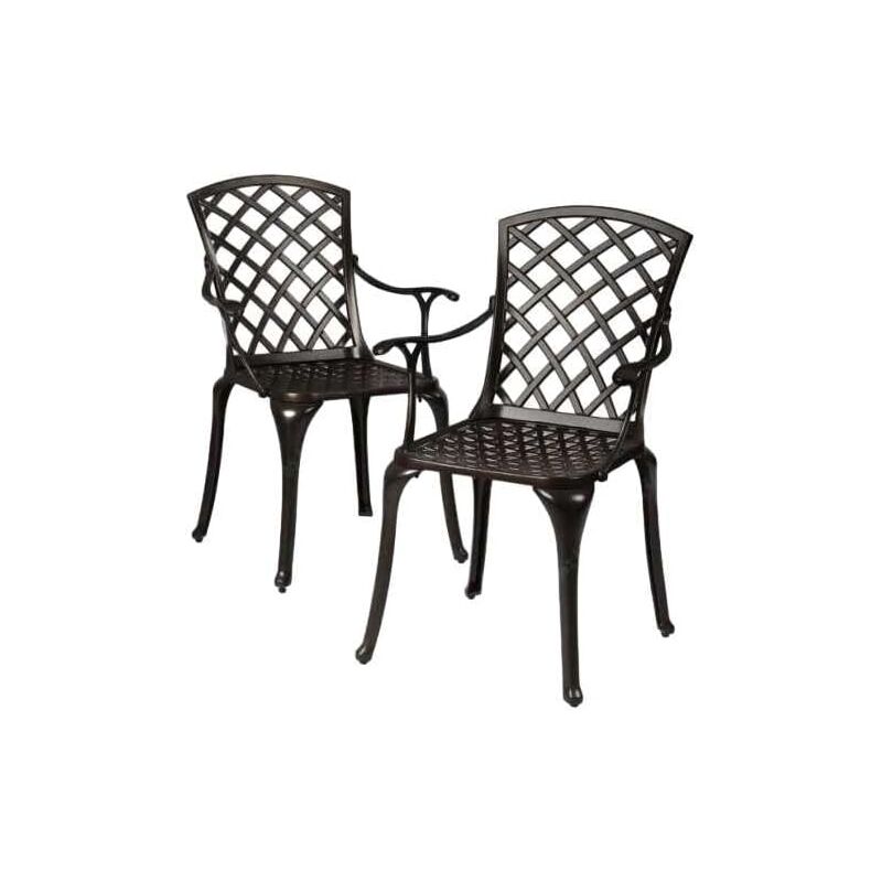 Lot de 2 Chaises Salon de Jardin en Aluminium Durable avec Accoudoir,Fauteuils pour Jardin, Terrasse,Salon de Bistro Style, Jardin,Terrasse,Salon,