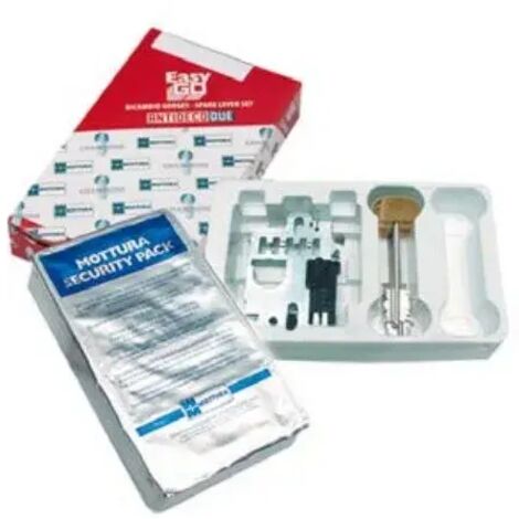 Gorgie di Ricambio Easy Go 107 DX con Serratura Mottura 91384 per Sicurezza e Affidabilit�