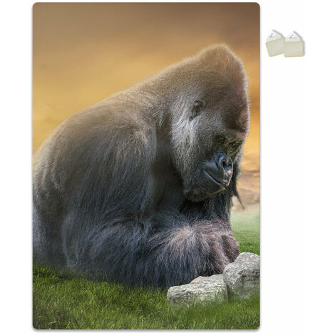 GORILLAS - POSTER in PVC da 3mm - Misura: 70x100 cm