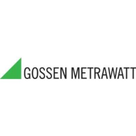 Gossen Metrawatt set di punte di prova rosse e nere