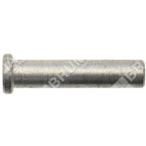 Goupille de verrouillage d'accélérateur pour taille-haie COMPATIBLE GREEN LINE - 014861