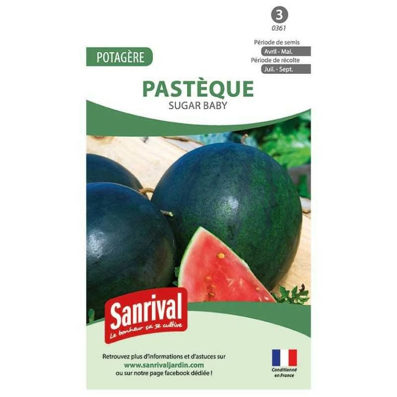 Sanrival - Graine Pastèque Sugar Baby (Melon d'Eau)