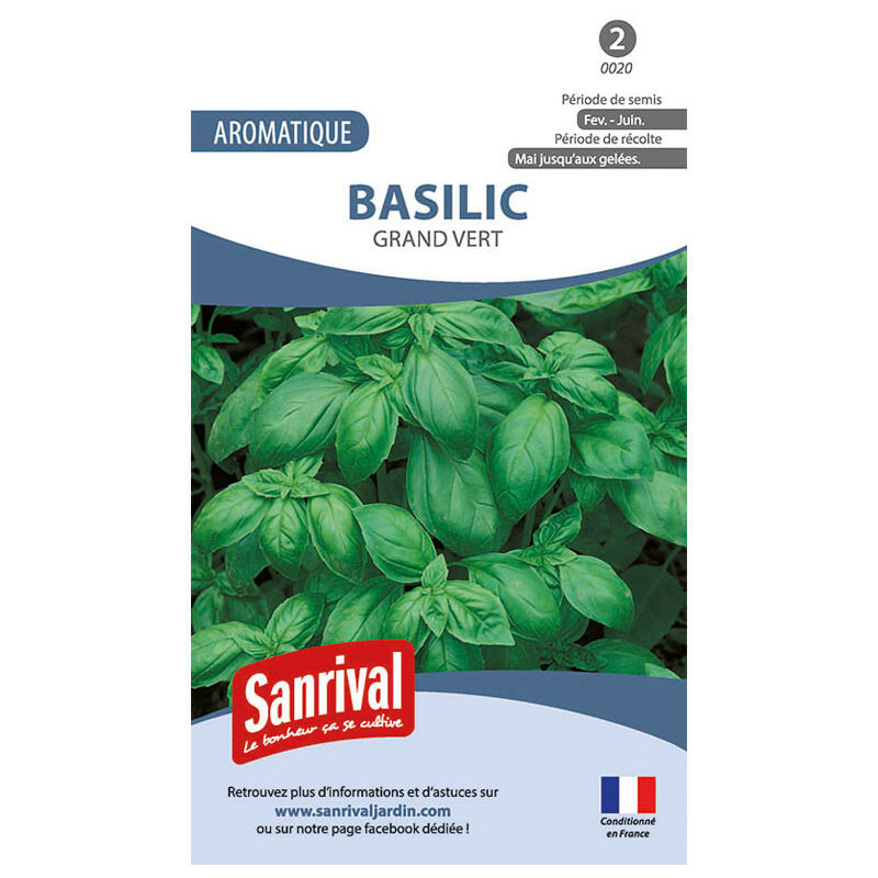 Graines basilic grand vert. . Marque : Sanrival Réf. : 0020