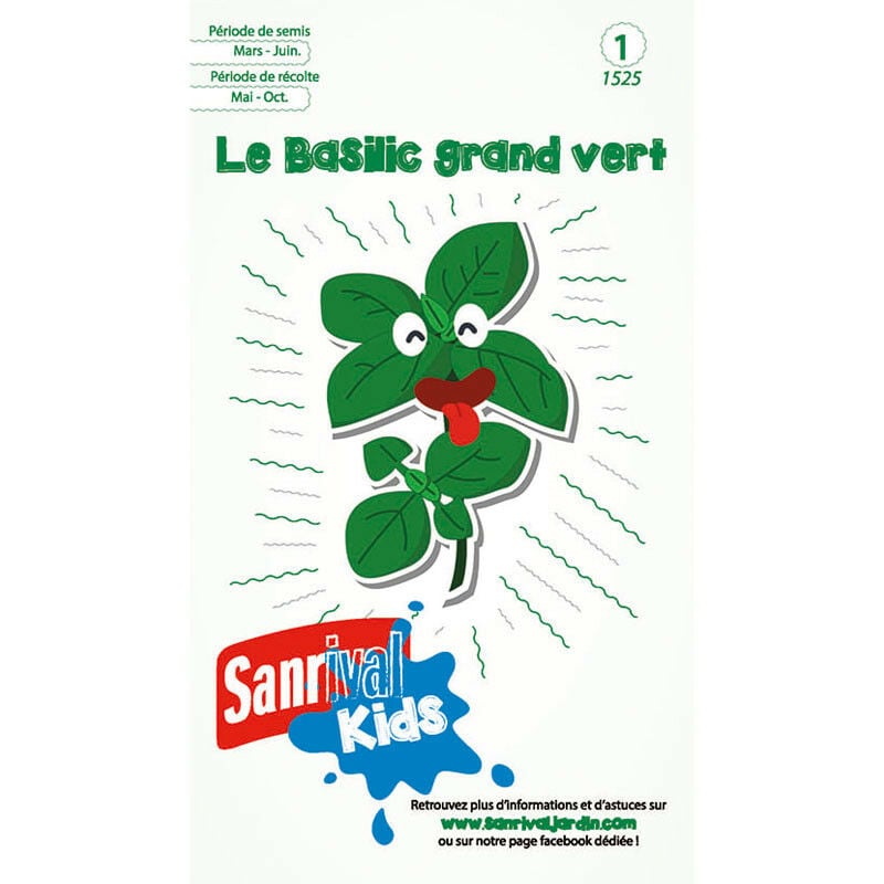 Graines Basilic Grand Vert pour Enfants. . Marque : Sanrival Réf. : 1525