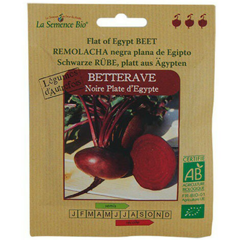 Graines bio Betterave noir plate d'Egypte - La semence bio