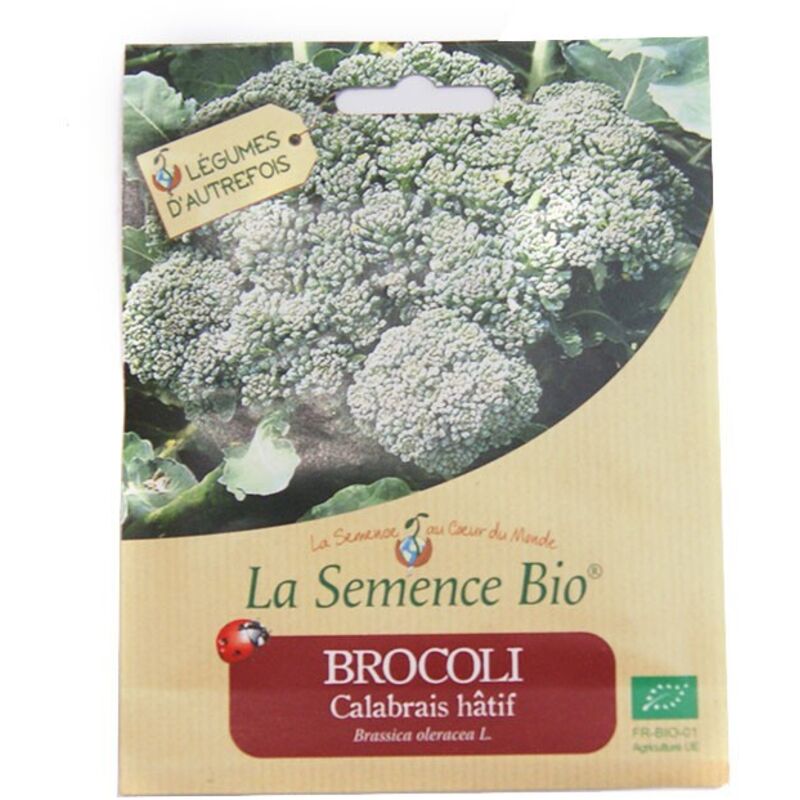VILMORIN CHOU BROCOLIS CALABRAISE BIO