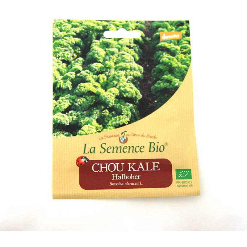La Semence Bio - Graines Bio - Chou Kale Halboher -semence biologique
