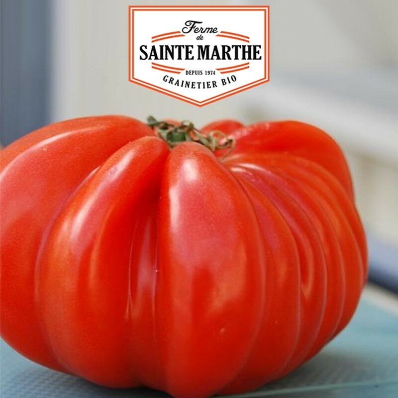 Tomate Beefsteak - 50 graines - La ferme Sainte Marthe