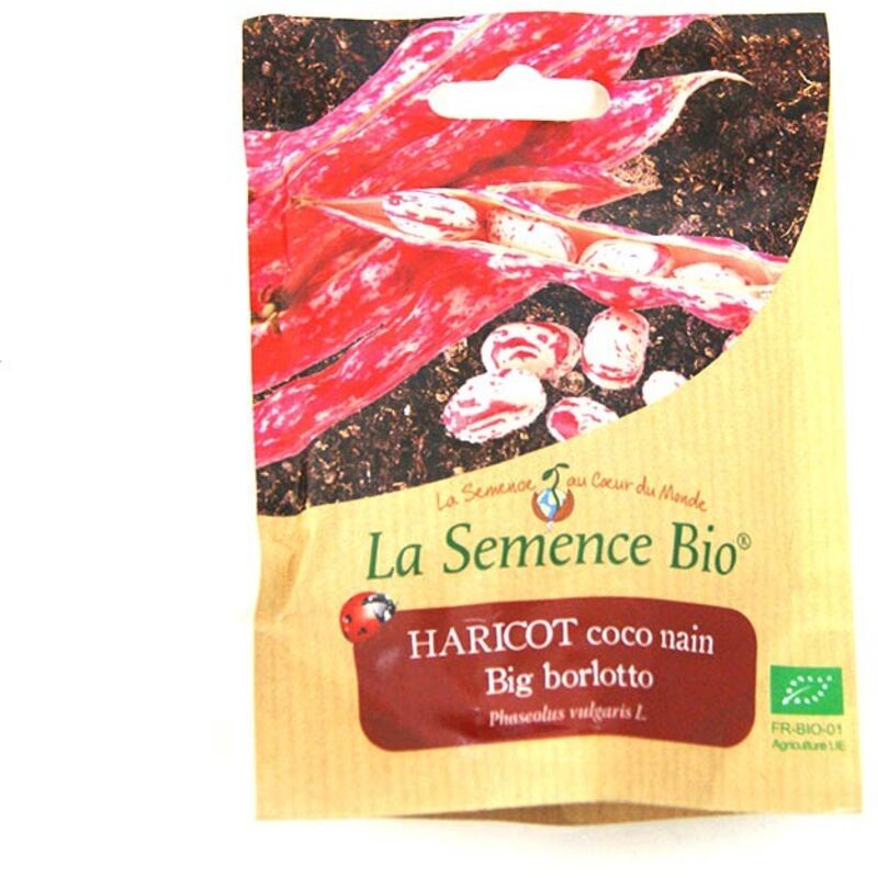 Graines Bio - Haricot Coco Nain Big Borlotto - Semence