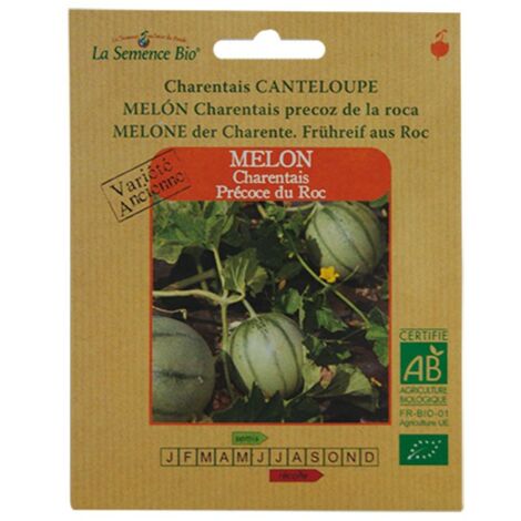GRAINES BIO -MELON CHARENTAIS PRECOCE DU ROC