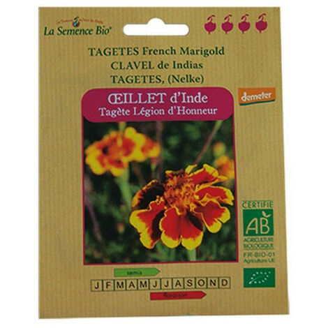 Graines Bio - Oeillet D'Inde Tagète - Semence Biologique
