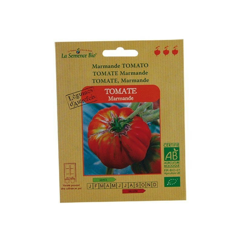 Graines Bio - Tomate Marmande - Semence Biologique