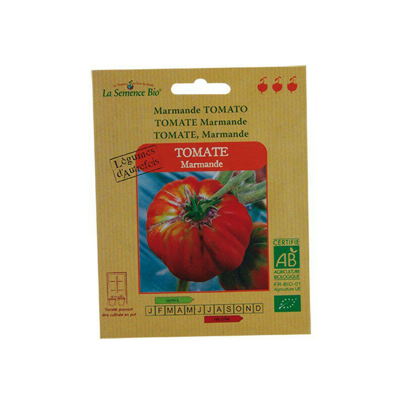 Graines bio Tomate Marmande - La Semence Bio