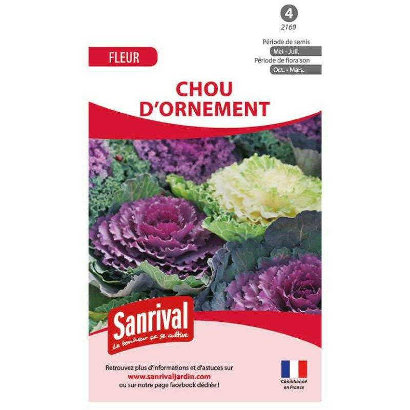 Sanrival - Graines Brassica - Chou d'Ornement
