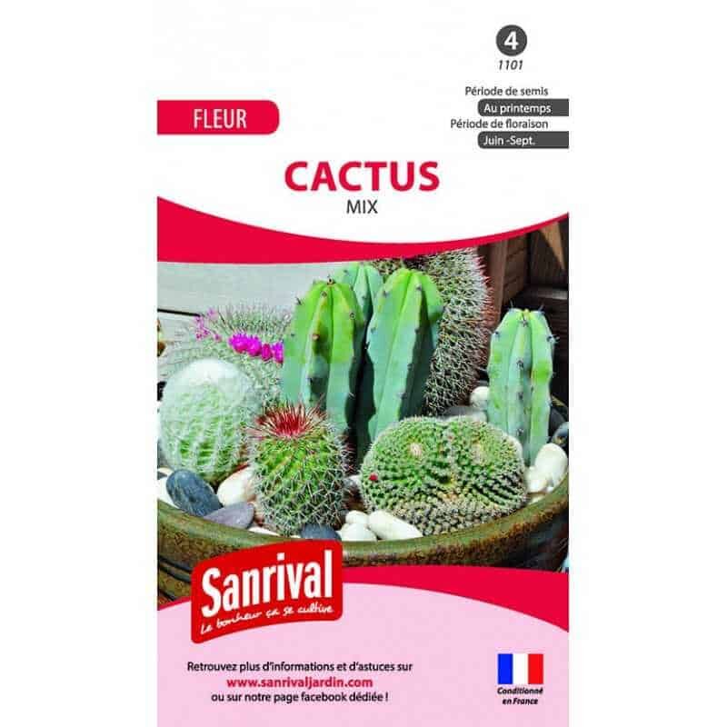 Sanrival - Graines cactus mix