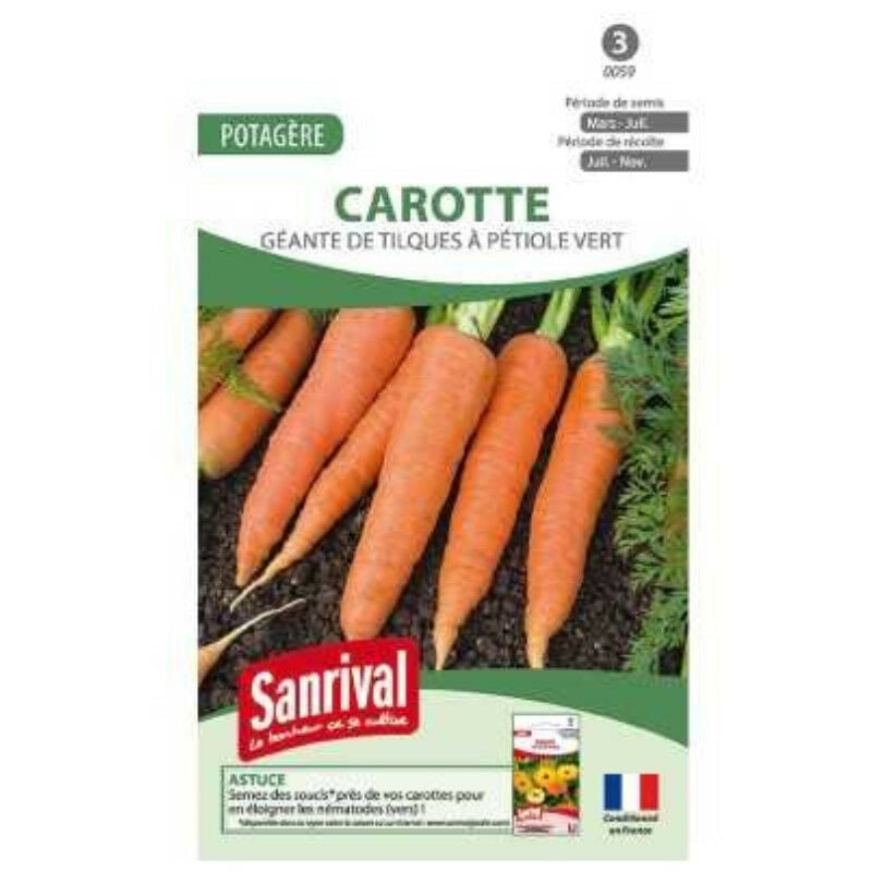 Sanrival - Graines Carotte Géant de Tilques
