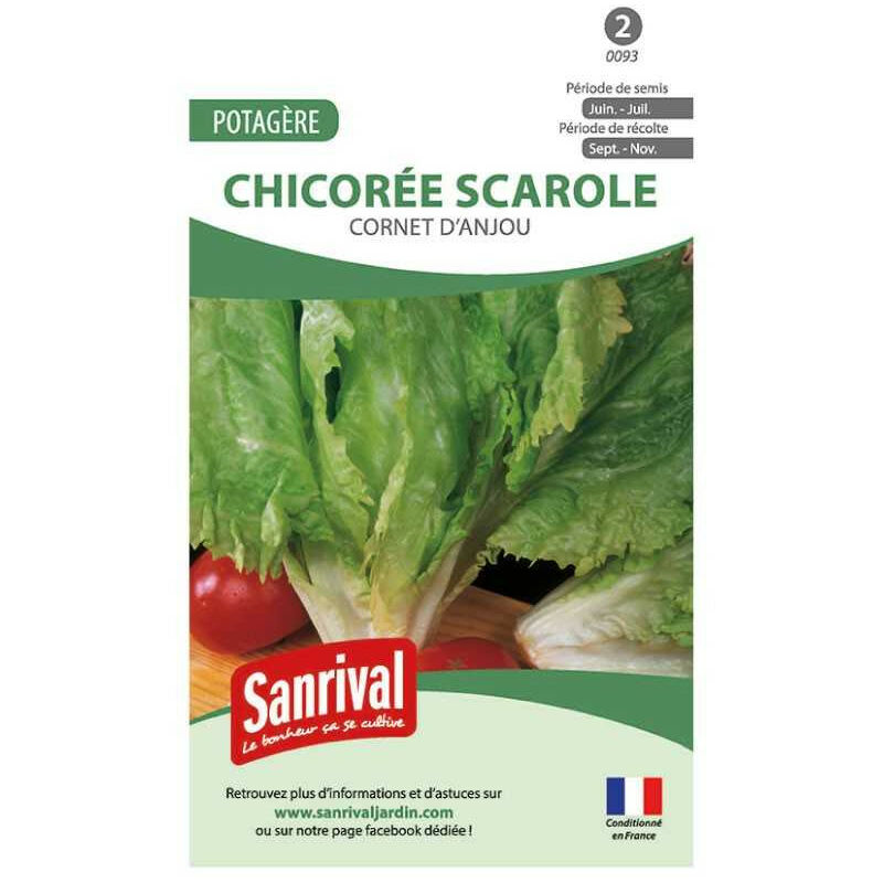 Sanrival - Graines Chicorée Scarole Cornet Anjou