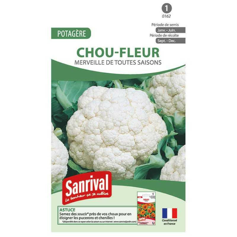 Sanrival - Graines Chou Fleur Toutes Saisons