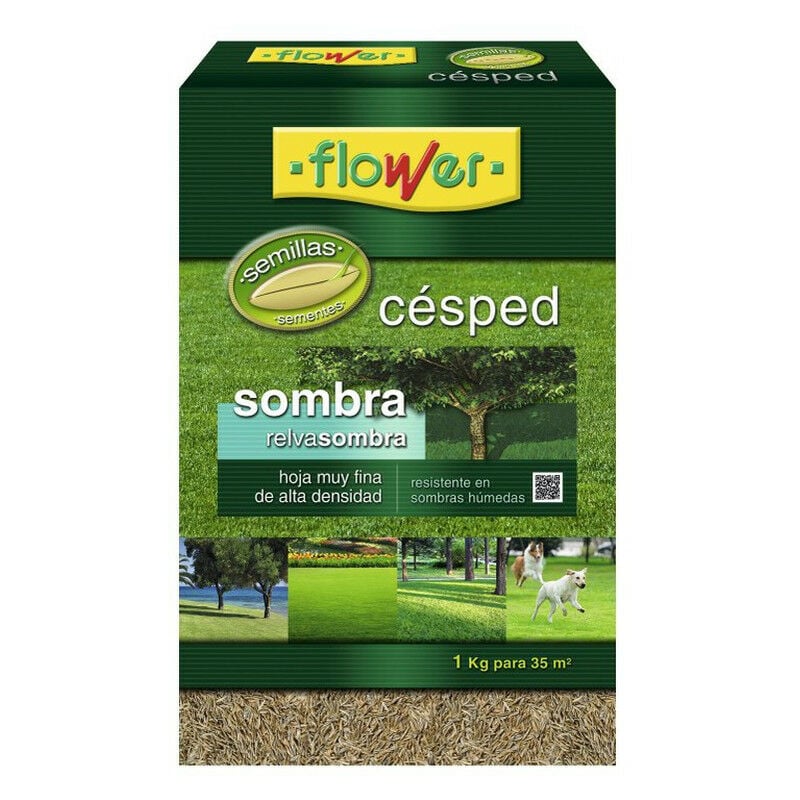 Productos-flowers - Ombre d'herbe des semences 1 kg