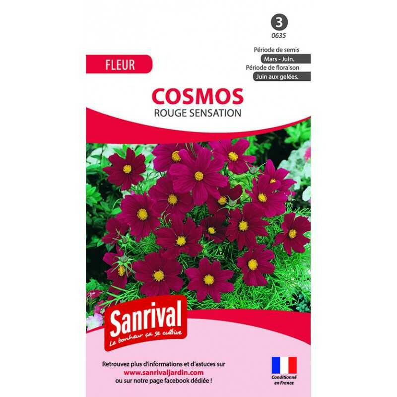 Sanrival - Graines Cosmos Rouge Sensation