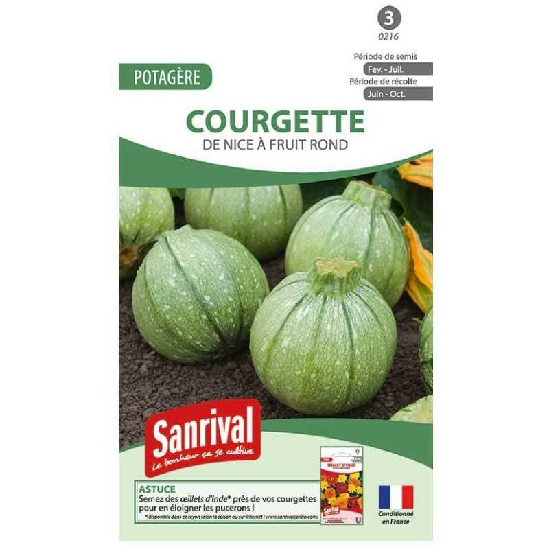 Sanrival - Graines Courgette Nice Fruit Rond
