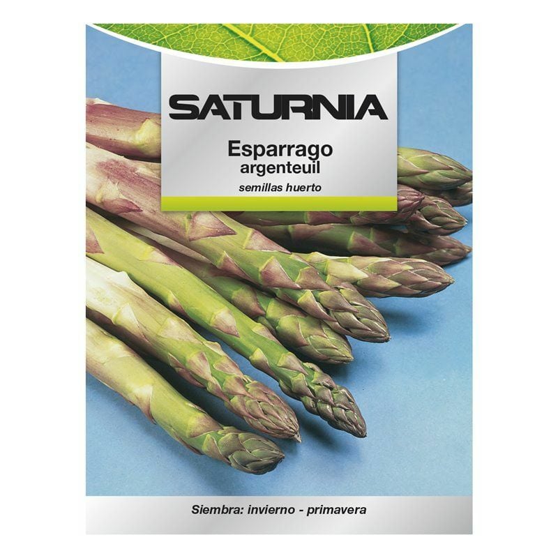 Saturnia - Graines d'asperges du jardin