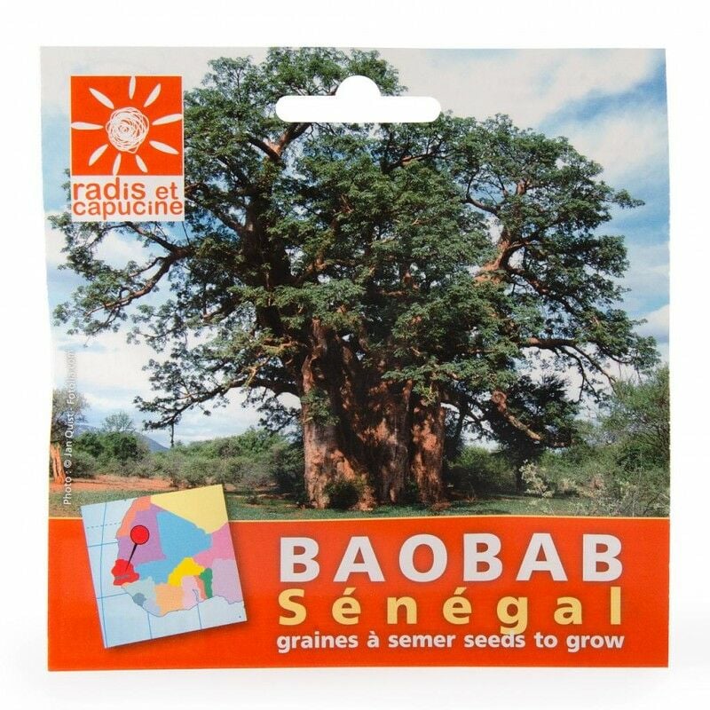 Radis Et Capucine - Graines de Baobab du Senegal en sachet