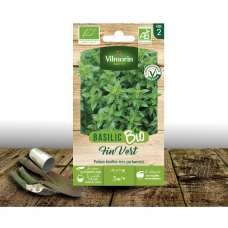 Graines de Basilic Fin vert - Sans traitement - Vilmorin/Sachet