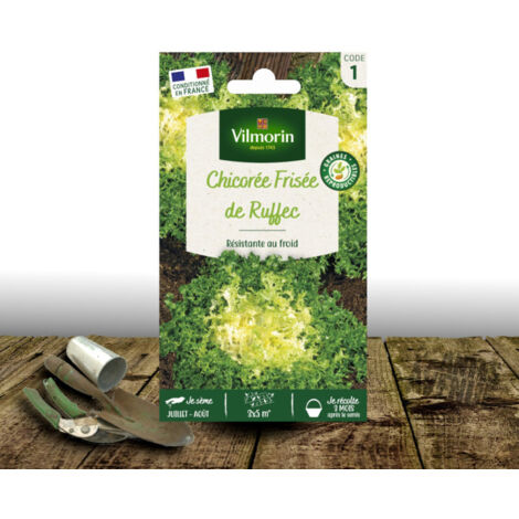 Graines de Chicorée frisée de Ruffec - Vilmorin/Sachet