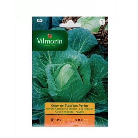 Graines de chou chou coraz’ вN de Ox Vilmorin 6g